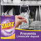 Zaltz Dishwasher Salt